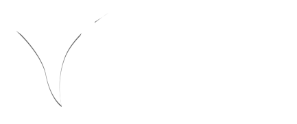 Vision Ambassadors Outreach